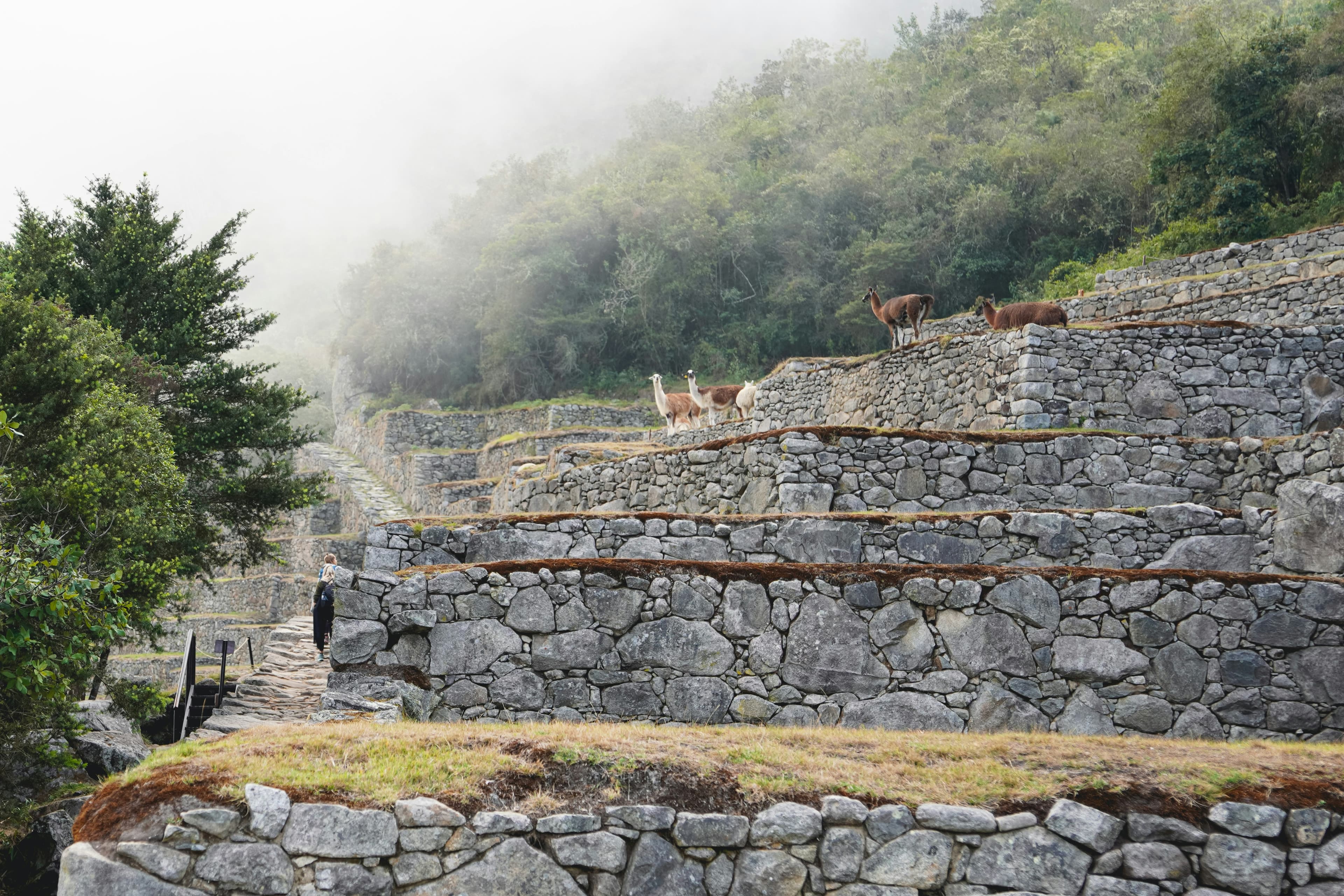 Machu Picchu, Cusco Region