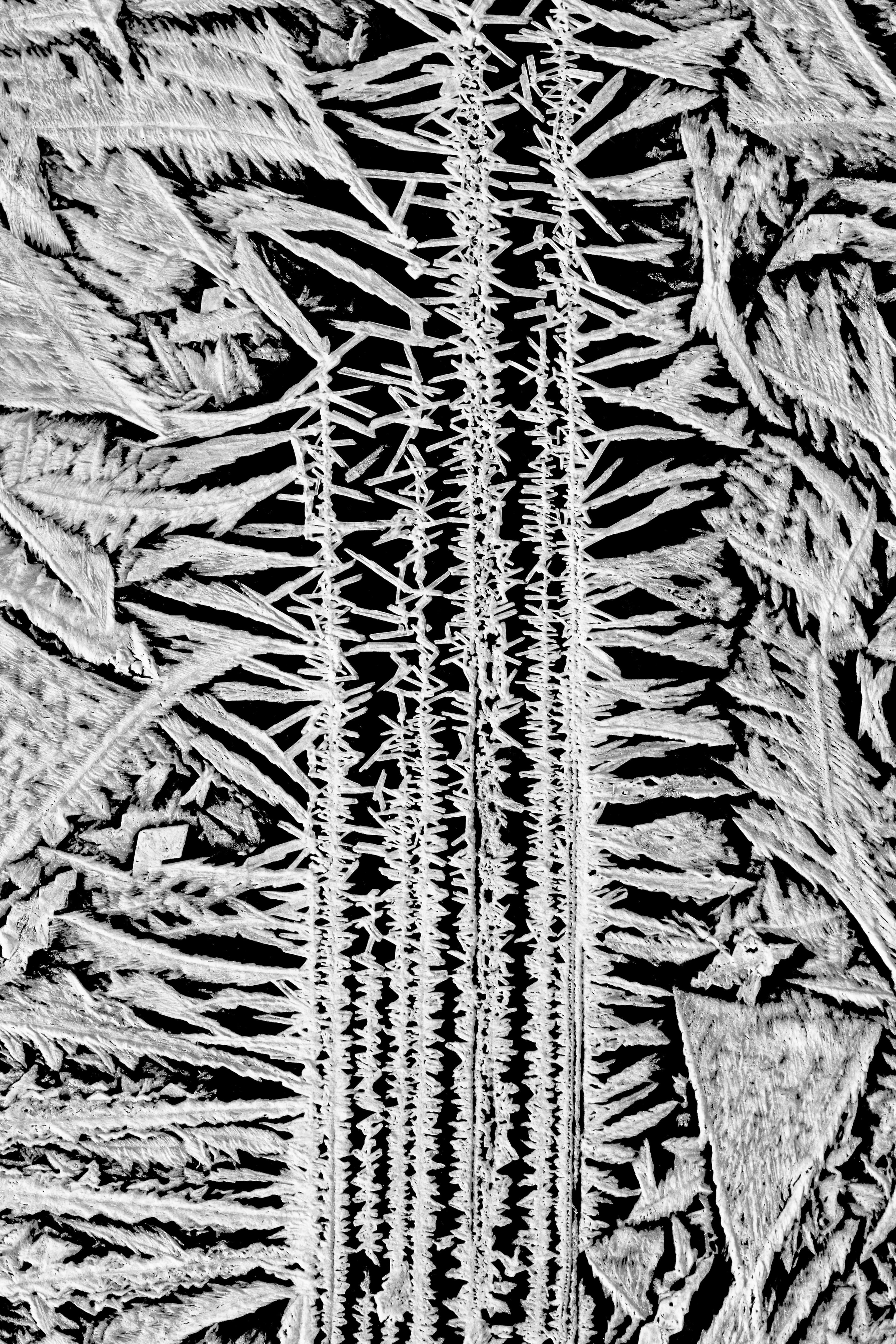 Maras & Moray — detail 01
