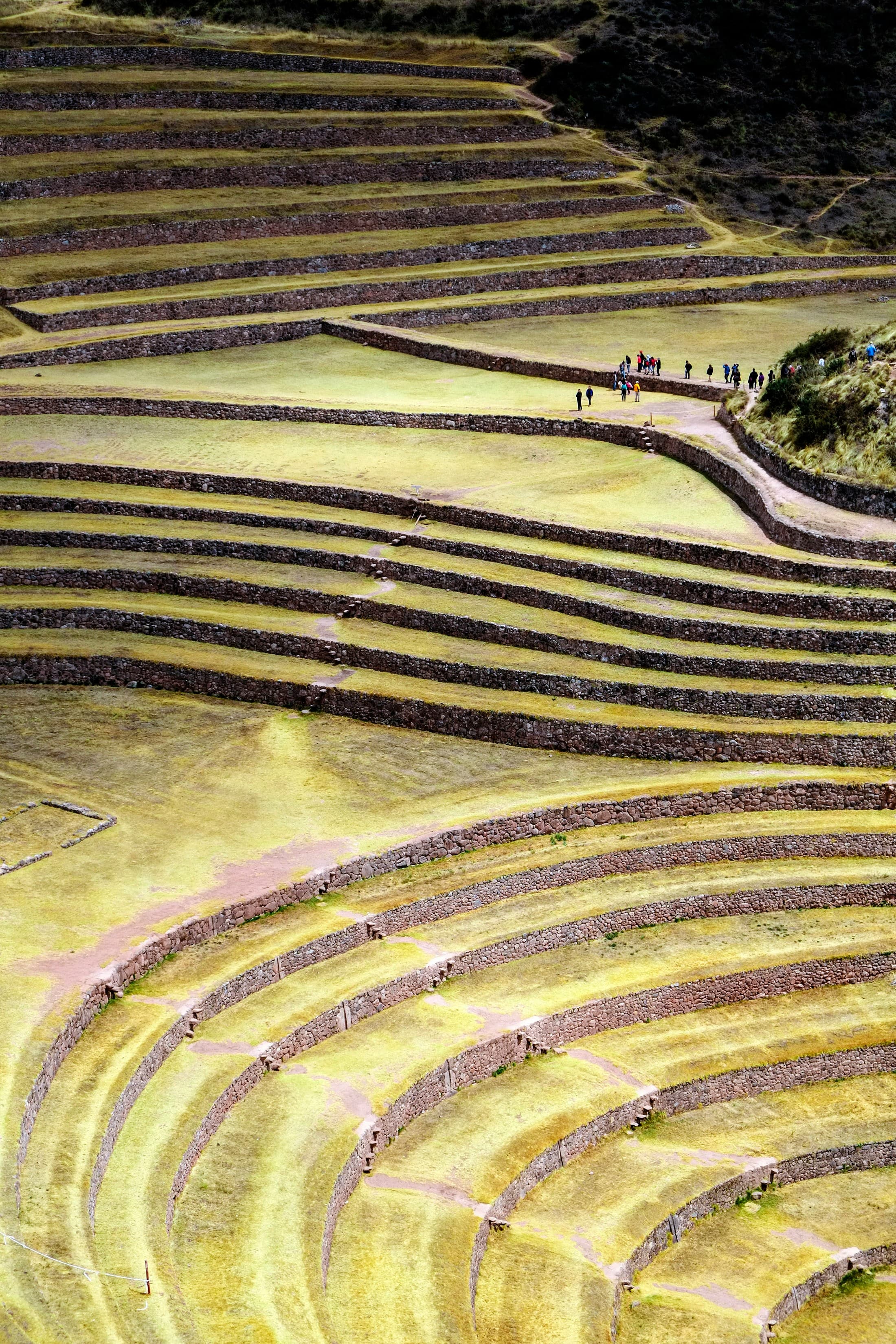 Maras & Moray — detail 02