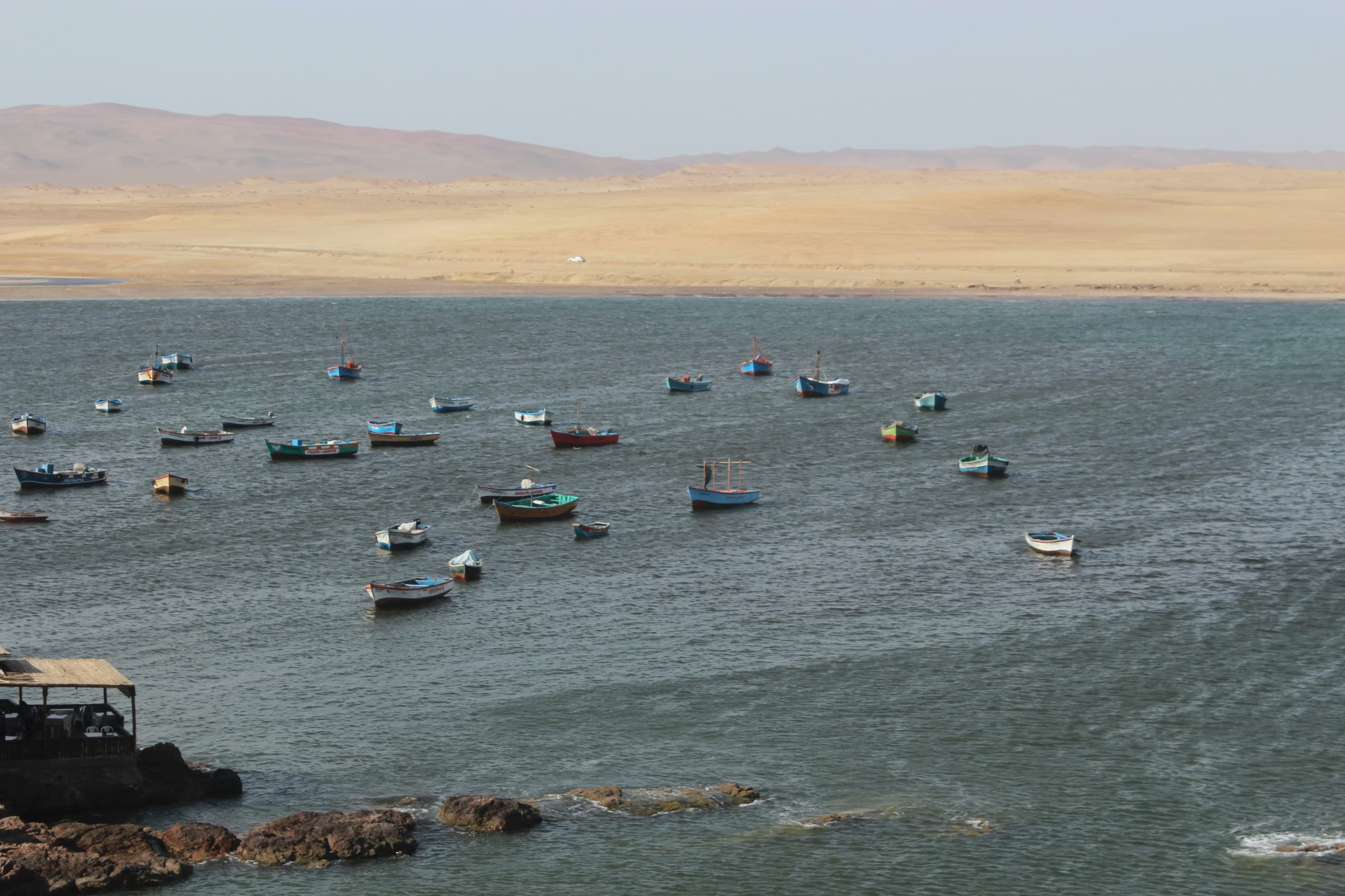 Paracas, South Coast