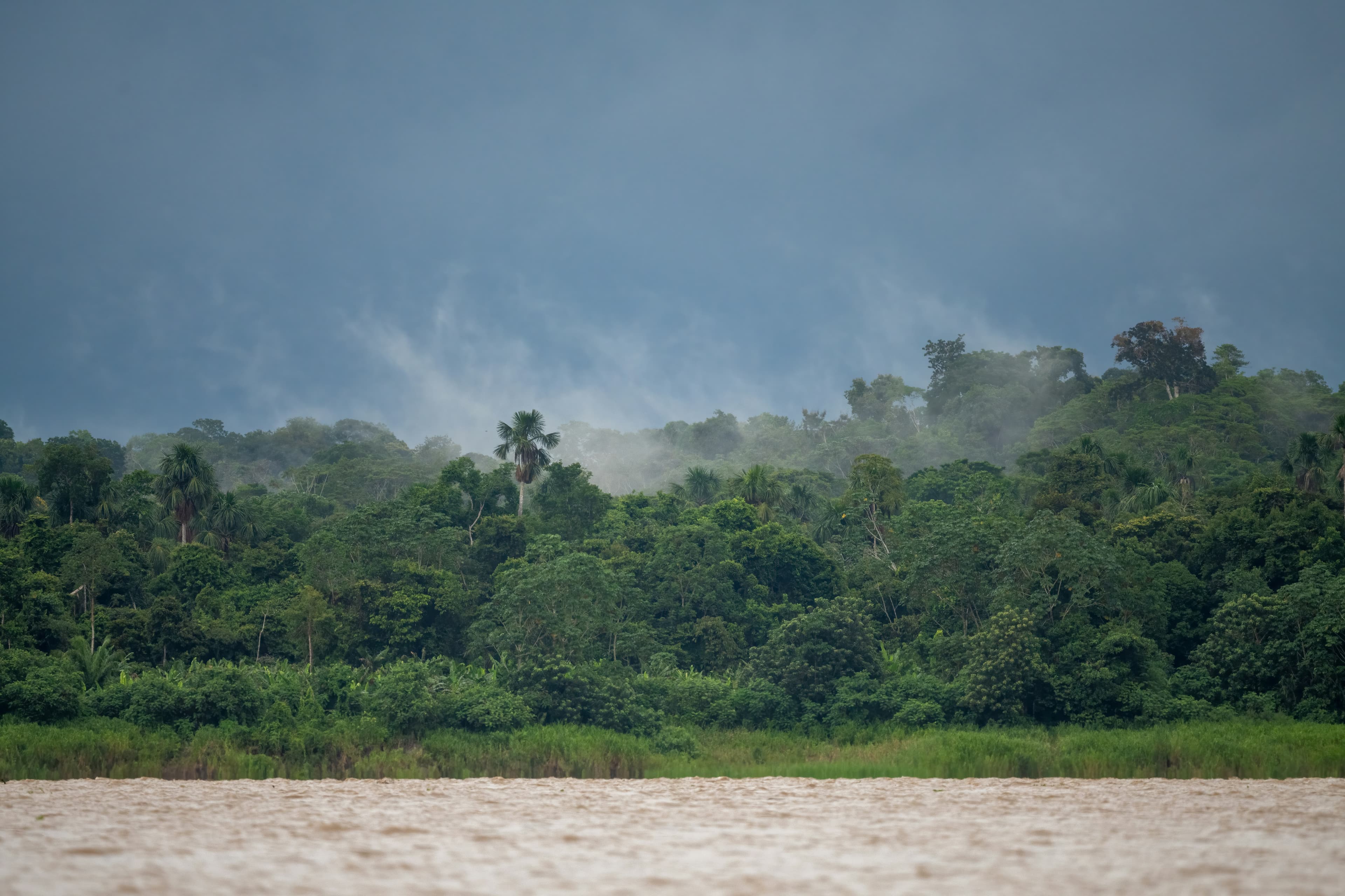 Tambopata — wide 01
